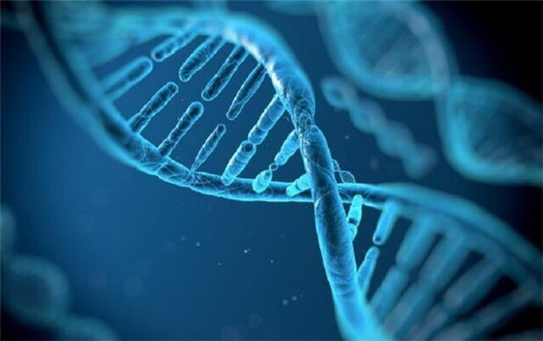 ژن ها در بسیاری از اختلالات اعتیاد نقش دارند