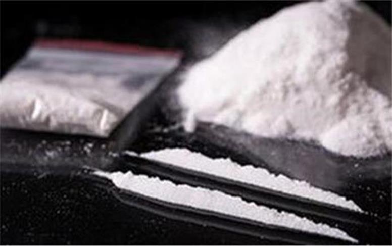 یکی از سرکردگان تبلیغ و فروش کوکائین در فضای مجازی دستگیر شد