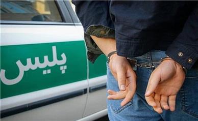 سارق کابل‌های برق در شاهرود دستگیر شد