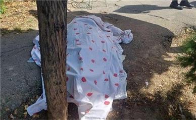 مرگ وحشتناک نوجوان ۱۷ ساله زیر چرخ‌های تریلر در مشهد