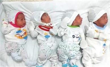 تولد 4 قلوها در کرمانشاه