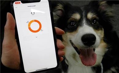 هوش مصنوعی پارس کردن سگ ها را ترجمه کرد